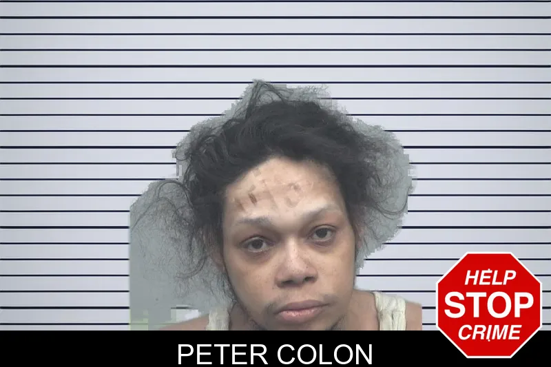 Peter Colon mugshot – Gwinnett County , Georgia Peter Colon mugshot
