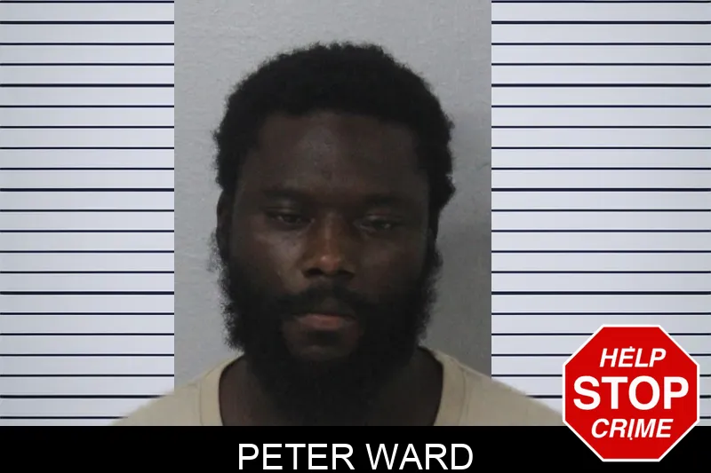 Peter Ward mugshot – Mcintosh County , Georgia Peter Ward mugshot