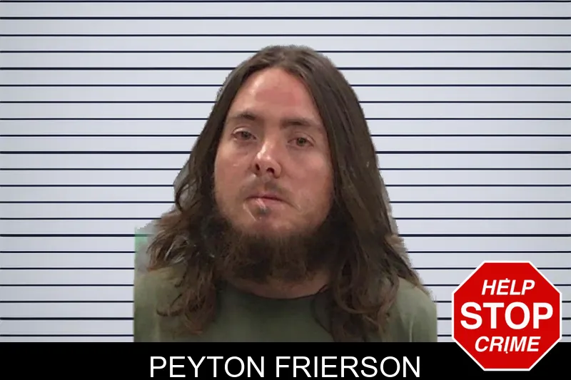 Peyton Frierson mugshot