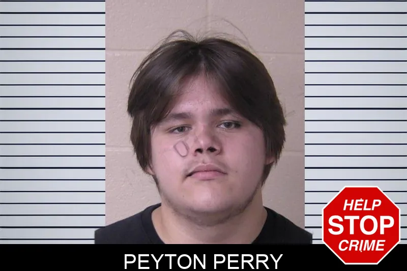 Peyton Perry mugshot – Walker County , Georgia Peyton Perry mugshot