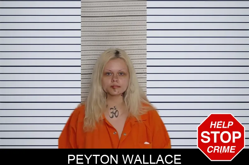 Peyton Wallace mugshot – Rockdale County , Georgia Peyton Wallace mugshot