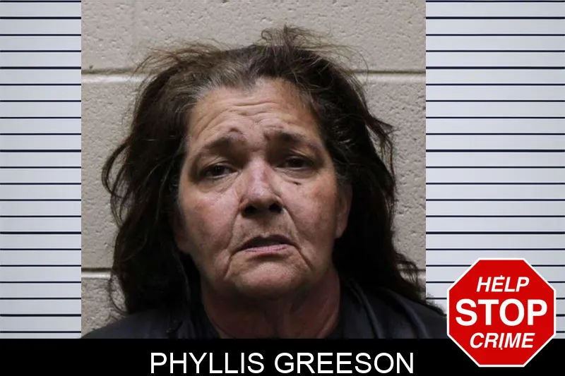 Phyllis Greeson mugshot – Haralson County , Georgia Phyllis Greeson mugshot