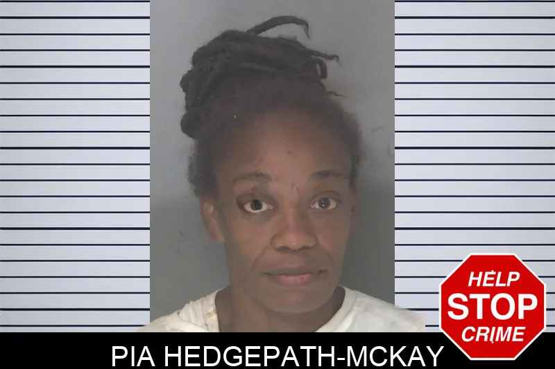 Pia Hedgepath-McKay mugshot – Douglas County , Georgia Pia Hedgepath-McKay mugshot