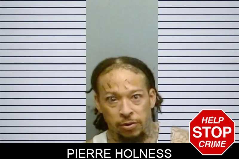 Pierre Holness mugshot