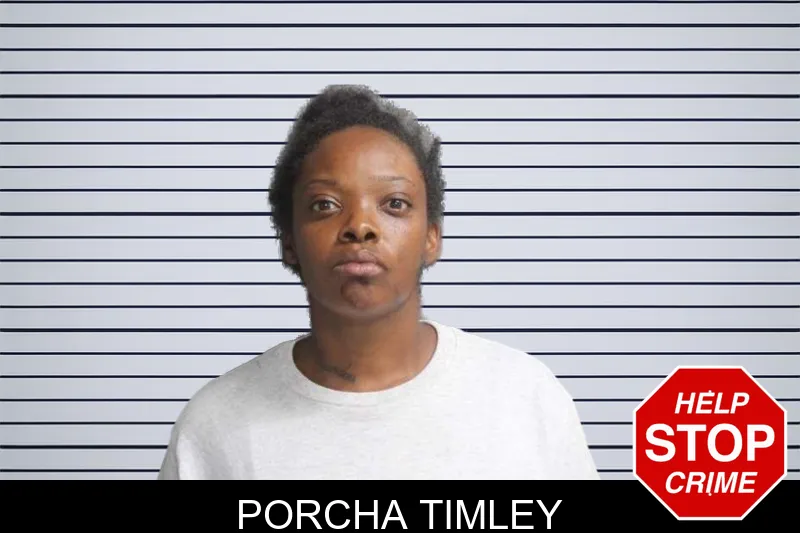 Porcha Timley mugshot