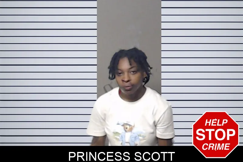 Princess Scott mugshot – DeKalb County , Georgia Princess Scott mugshot