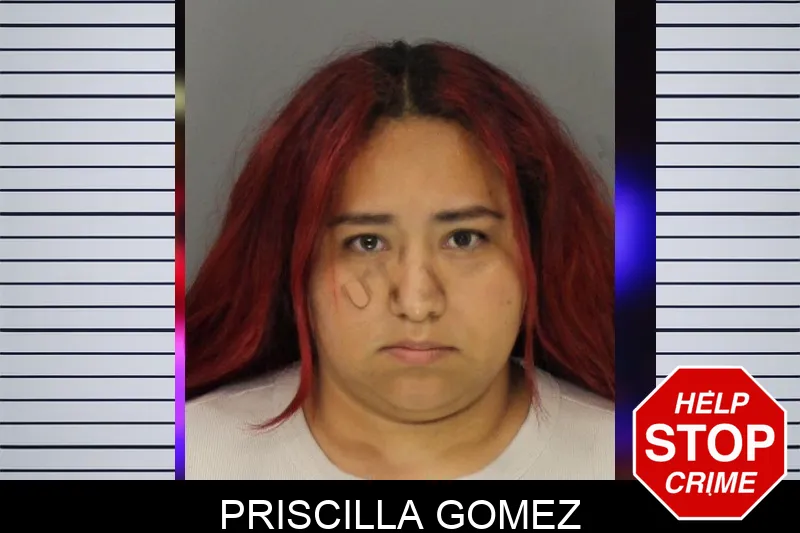 Priscilla Gomez mugshot – Cobb County , Georgia Priscilla Gomez mugshot