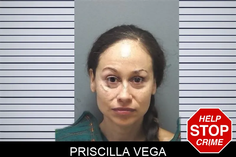 Priscilla Vega mugshot – Cherokee County , Georgia Priscilla Vega mugshot