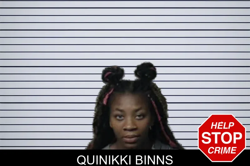 Quinikki Binns mugshot – DeKalb County , Georgia Quinikki Binns mugshot