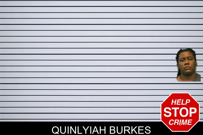 Quinlyiah Burkes mugshot – Ware County , Georgia Quinlyiah Burkes mugshot