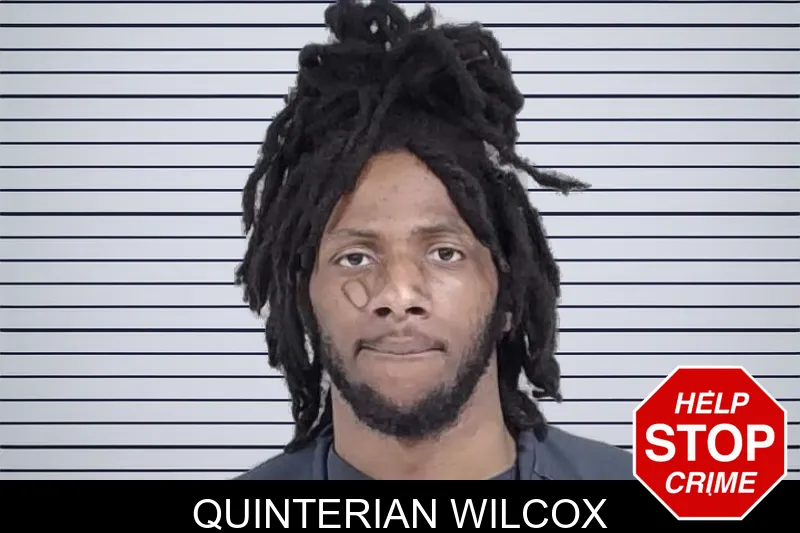 Quinterian Wilcox mugshot – Lowndes County , Georgia Quinterian Wilcox mugshot