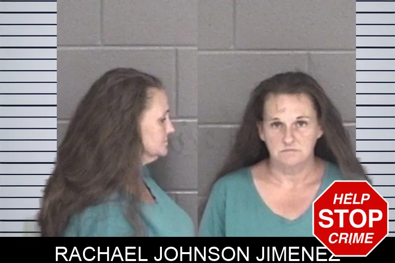 Rachael Johnson Jimenez mugshot – Barrow County , Georgia Rachael Johnson Jimenez mugshot