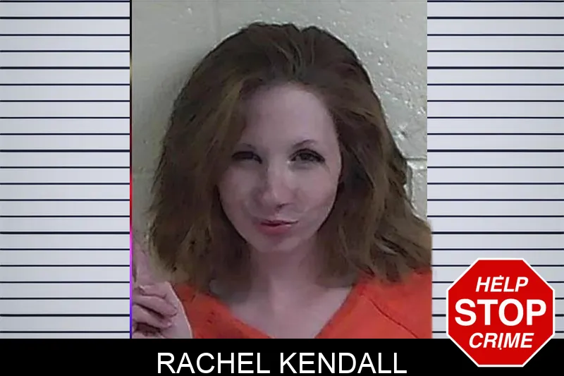 Rachel Kendall mugshot – Fannin County , Georgia Rachel Kendall mugshot