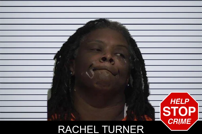 Rachel Turner mugshot – Laurens County , Georgia Rachel Turner mugshot
