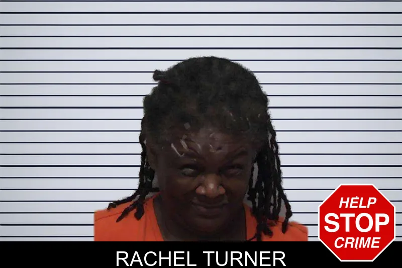 Rachel Turner mugshot – Laurens County , Georgia Rachel Turner mugshot