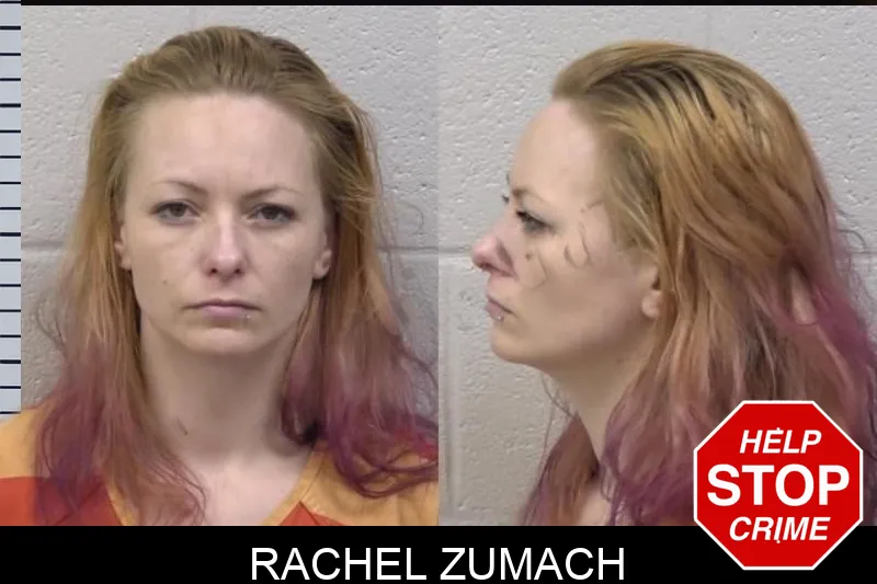 Rachel Zumach mugshot – Paulding County , Georgia Rachel Zumach mugshot