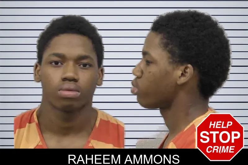 Raheem Ammons mugshot – Paulding County , Georgia Raheem Ammons mugshot