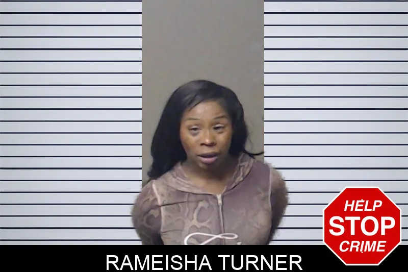 Rameisha Turner mugshot – DeKalb County , Georgia Rameisha Turner mugshot