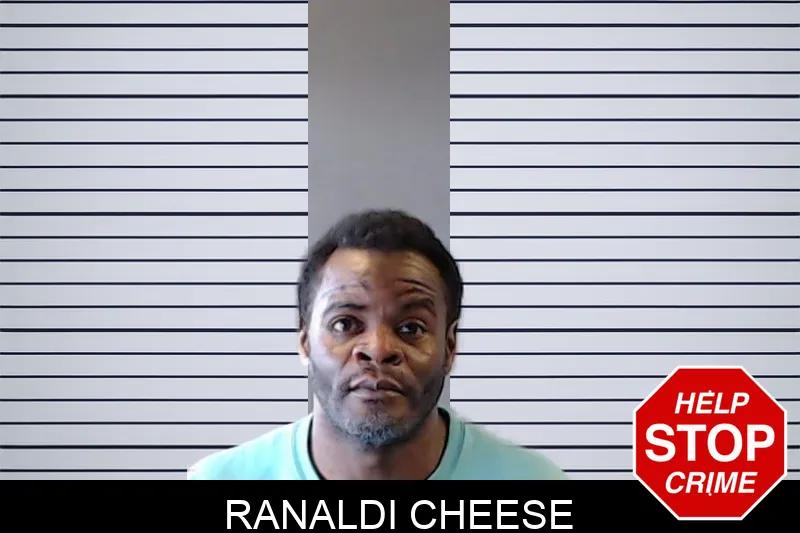 Ranaldi Cheese mugshot – DeKalb County , Georgia Ranaldi Cheese mugshot