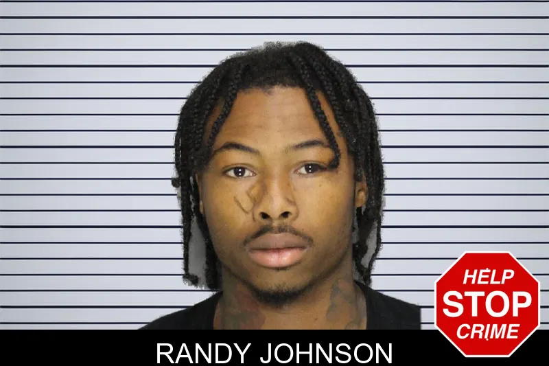 Randy Johnson mugshot – Cobb County , Georgia Randy Johnson mugshot