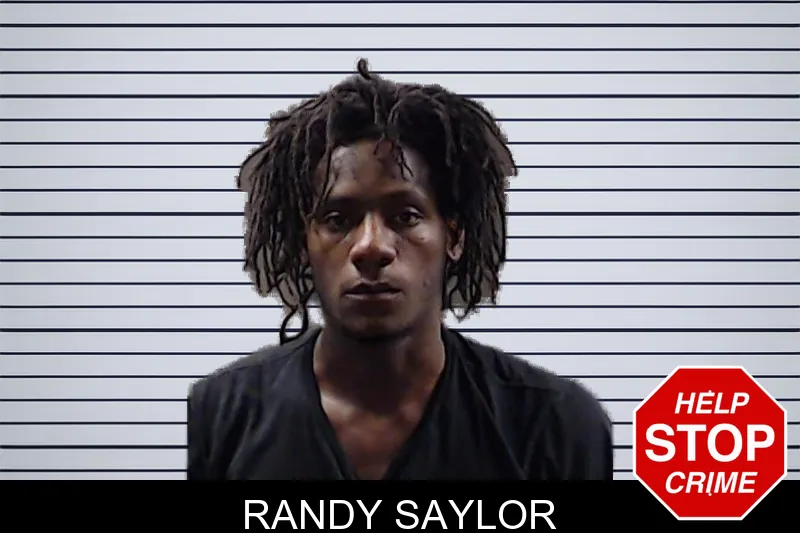 Randy Saylor mugshot
