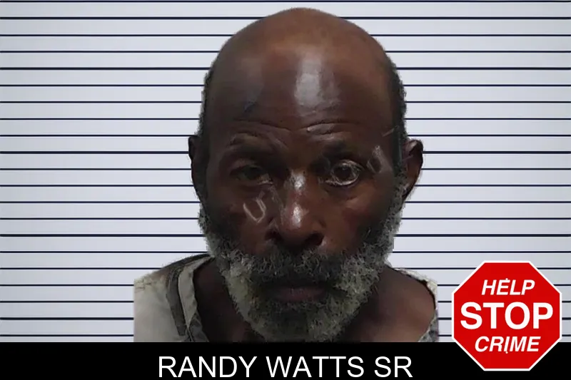 Randy Watts Sr mugshot – Tift County , Georgia Randy Watts Sr mugshot