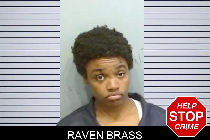 Raven Brass mugshot – Fulton County , Georgia Raven Brass mugshot