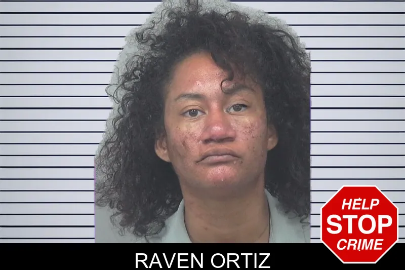Raven Ortiz mugshot – Gwinnett County , Georgia Raven Ortiz mugshot