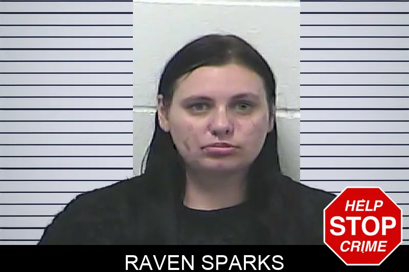 Raven Sparks mugshot – Dawson County , Georgia Raven Sparks mugshot