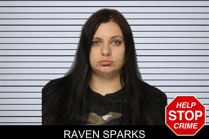 Raven Sparks mugshot – Hall County , Georgia Raven Sparks mugshot
