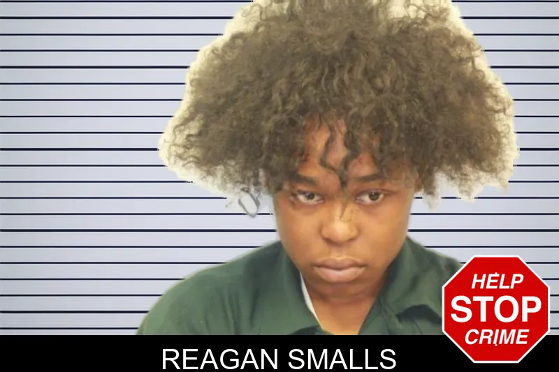 Reagan Smalls mugshot