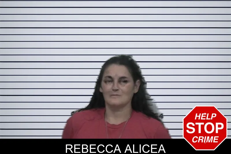 Rebecca Alicea mugshot – Sumter County , Georgia Rebecca Alicea mugshot