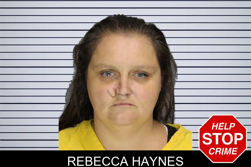 Rebecca Haynes mugshot – Cobb County , Georgia Rebecca Haynes mugshot