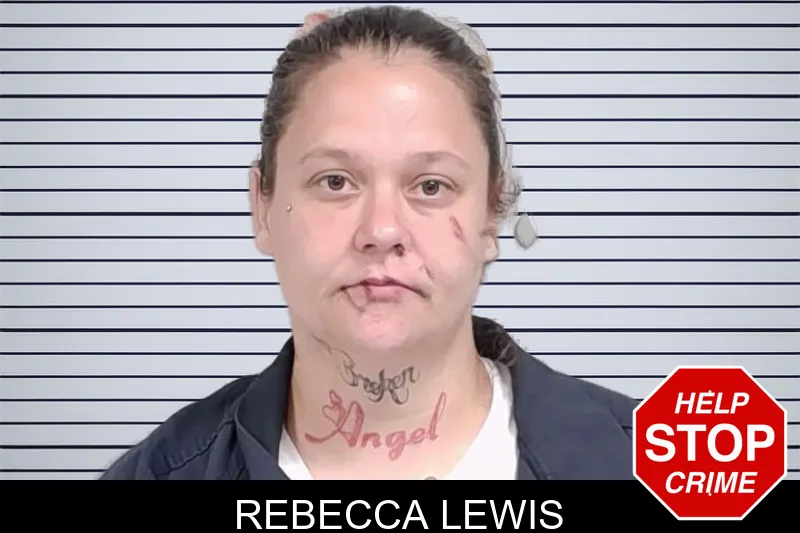 Rebecca Lewis mugshot – Lowndes County , Georgia Rebecca Lewis mugshot