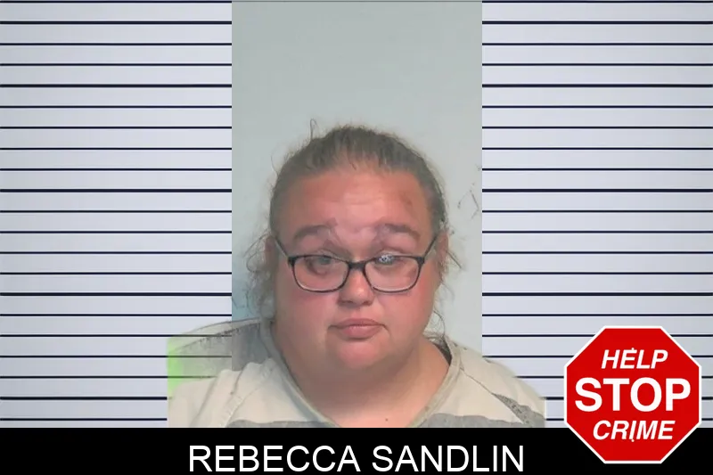 Rebecca Sandlin mugshot – Berrien County , Georgia Rebecca Sandlin mugshot