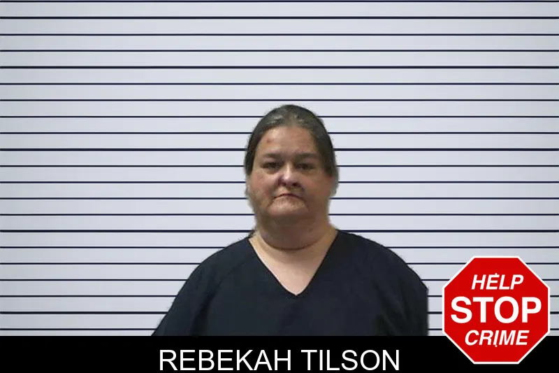 Rebekah Tilson mugshot – Gilmer County , Georgia Rebekah Tilson mugshot