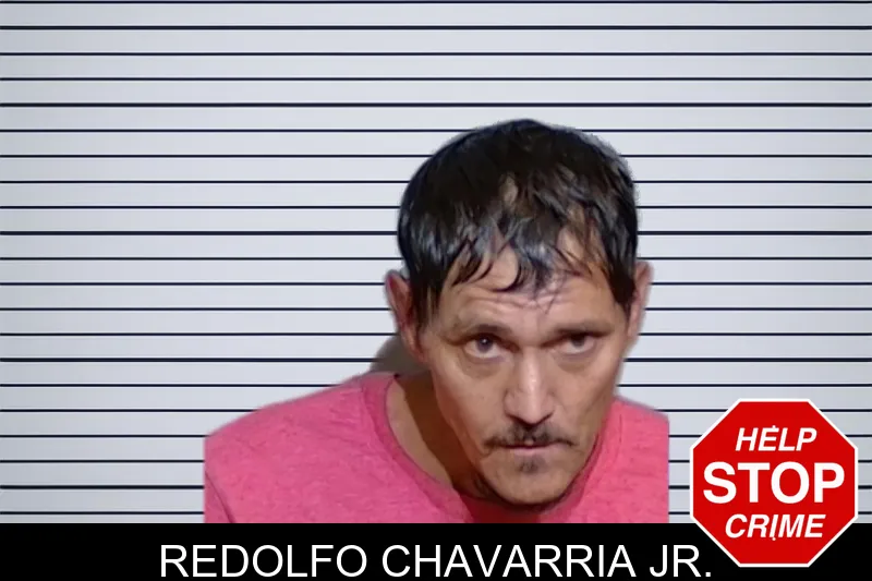 Redolfo Chavarria Jr. mugshot