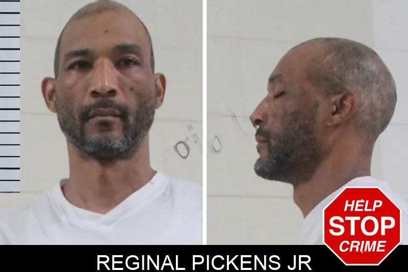 Reginal Pickens Jr mugshot