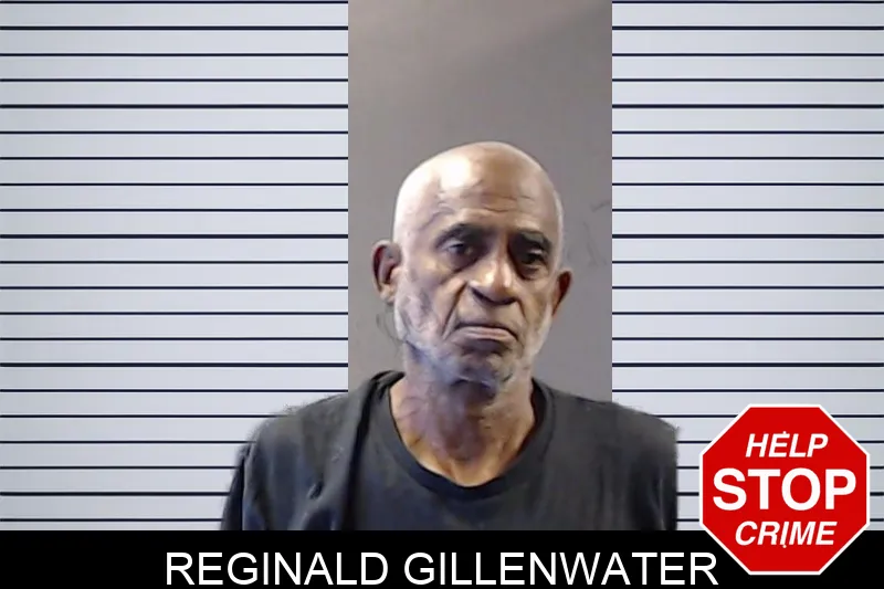 Reginald Gillenwater mugshot – DeKalb County , Georgia Reginald Gillenwater mugshot