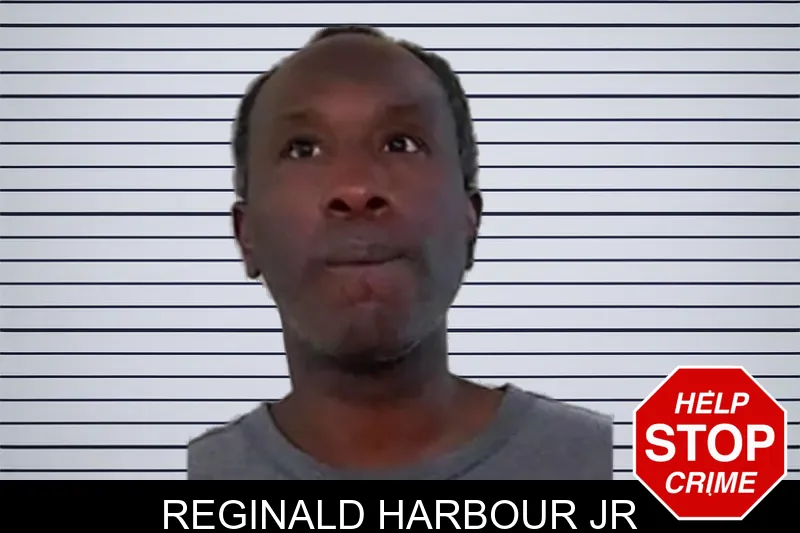 Reginald Harbour Jr mugshot – Liberty County , Georgia Reginald Harbour Jr mugshot