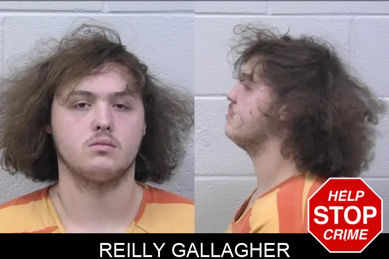 Reilly Gallagher mugshot – Paulding County , Georgia Reilly Gallagher mugshot