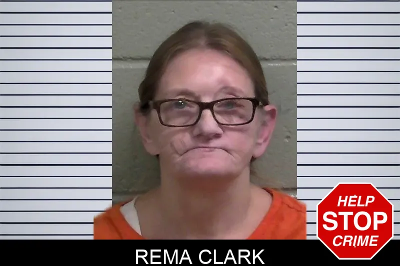Rema Clark mugshot – Wayne County , Georgia Rema Clark mugshot