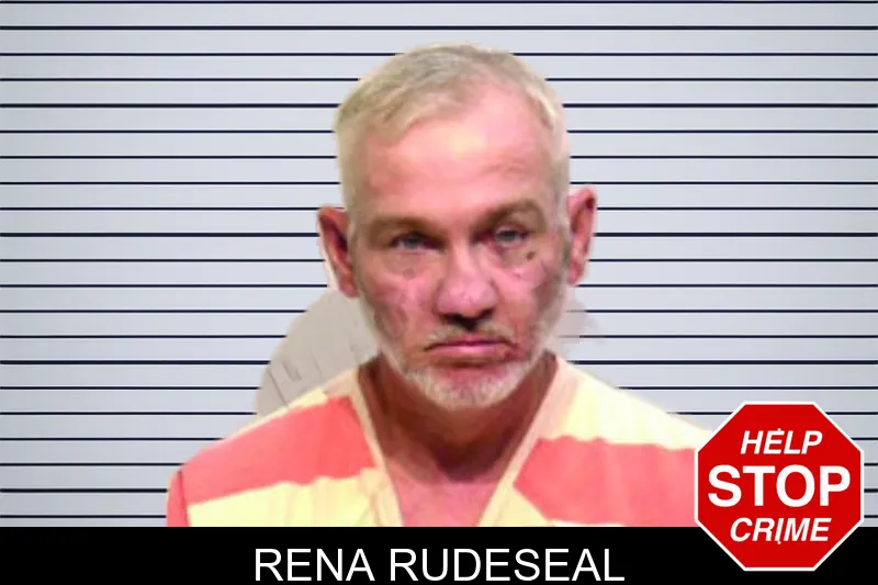 Rena Rudeseal mugshot – Bartow County , Georgia Rena Rudeseal mugshot