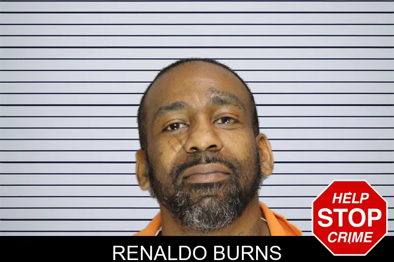 Renaldo Burns mugshot