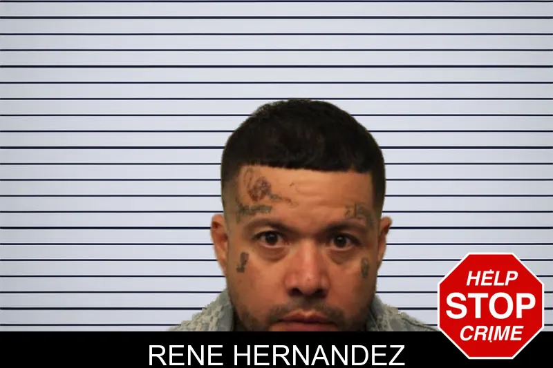 Rene Hernandez mugshot