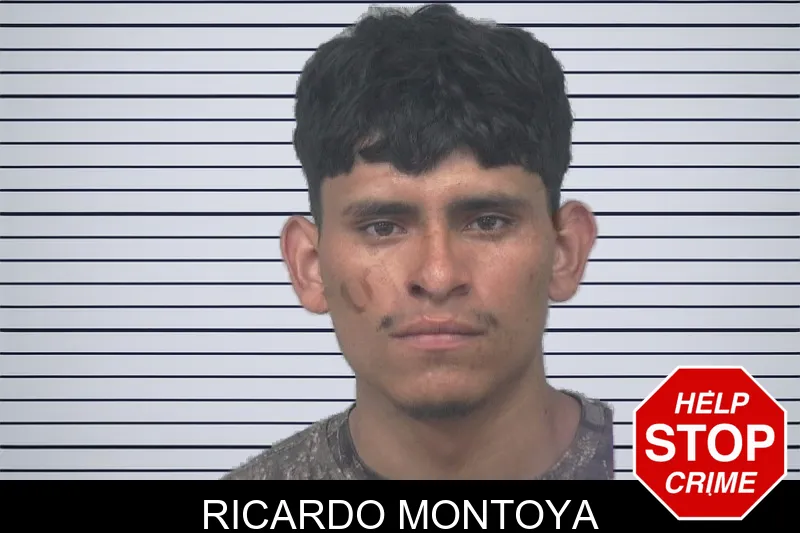 Ricardo Montoya mugshot – Gwinnett County , Georgia Ricardo Montoya mugshot