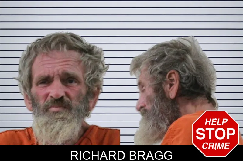 Richard Bragg mugshot – Houston County , Georgia Richard Bragg mugshot
