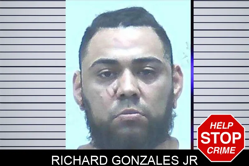 Richard Gonzales Jr mugshot