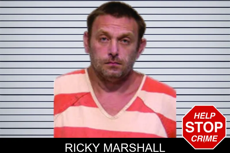 Ricky Marshall mugshot – Bartow County , Georgia Ricky Marshall mugshot