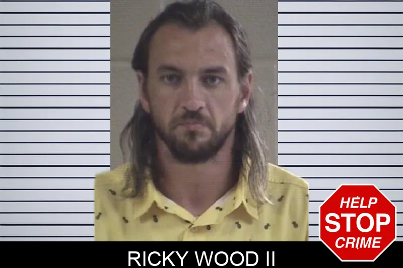 Ricky Wood II mugshot – Whitfield County , Georgia Ricky Wood II mugshot